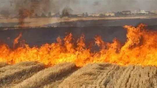 Arabanlı çiftçilere anız yakma yasağıyla ilgili duyuru