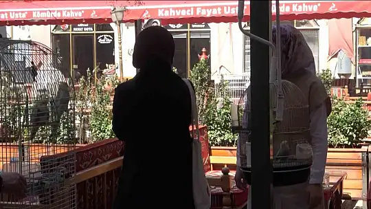 Asrın felaketi sonrası ötücü kuşlara ilgi arttı