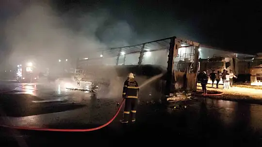 Ayçiçek yağı yüklü tırın dorsesi alev alev yandı
