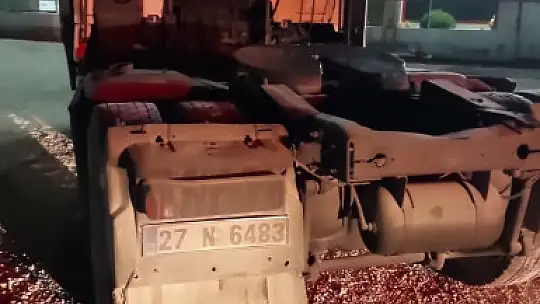 Ayçiçek yağı yüklü tırın dorsesi alev alev yandı