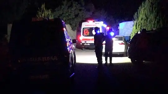 Baba-oğuldan geriye yan yana çektirdikleri fotoğraf karesi kaldı
