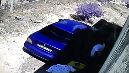 Bağ evini boşalttılar, önce kameraya sonra jandarmaya yakalandılar