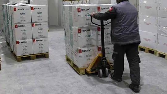 Bakan Koca duyurmuştu, yeni seri TURKOVAC aşılarının dağıtımı başladı