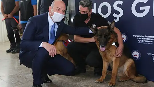 Bakan Soylu'dan Avrupa'ya Yunanistan çağrısı: uyarmaya ve had bildirmeye davet ediyorum