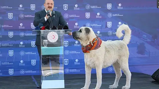 Bakan Varank: 'İlk 6 ayda 105 milyar dolar ihracata ulaştık'