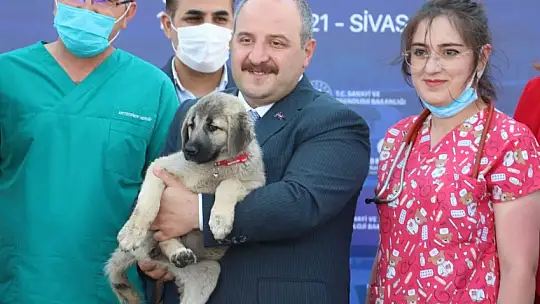 Bakan Varank: 'İlk 6 ayda 105 milyar dolar ihracata ulaştık'
