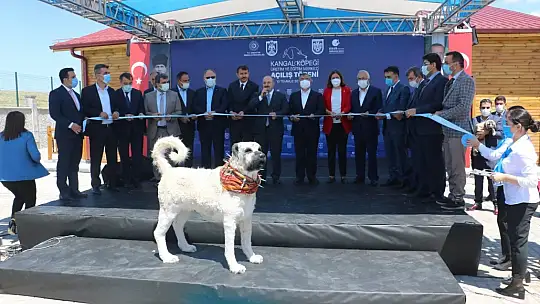 Bakan Varank: 'İlk 6 ayda 105 milyar dolar ihracata ulaştık'