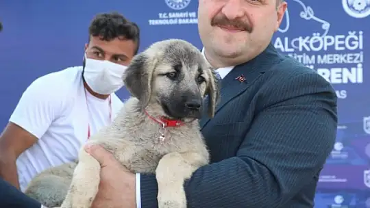 Bakan Varank: 'İlk 6 ayda 105 milyar dolar ihracata ulaştık'