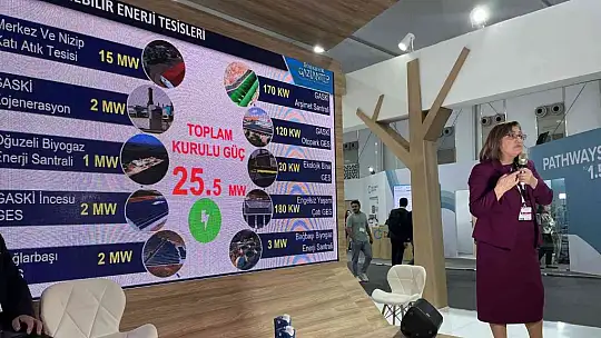 Başkan Şahin, Cop27'de yeşil yatırımları anlattı