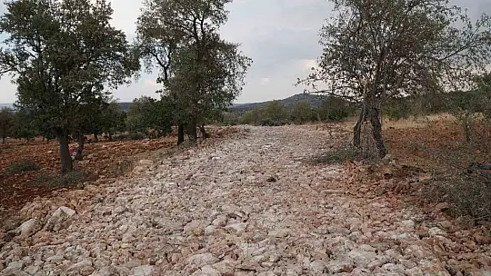 Başkan Yılmaz'a arazi yolu teşekkürü