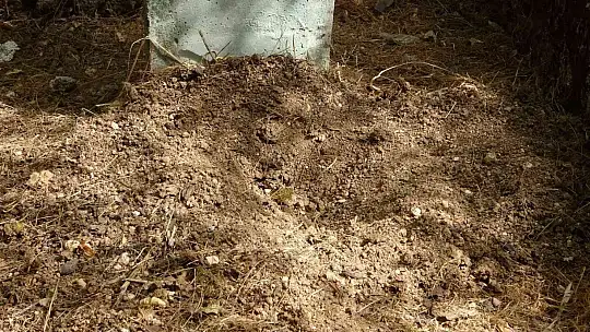 Bebeğini diri diri gömmeye çalışan anne ve anneannenin cezası bellli oldu