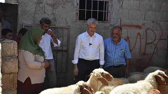 Belediyeden aldığı 16 koyunu 130'a çıkardı