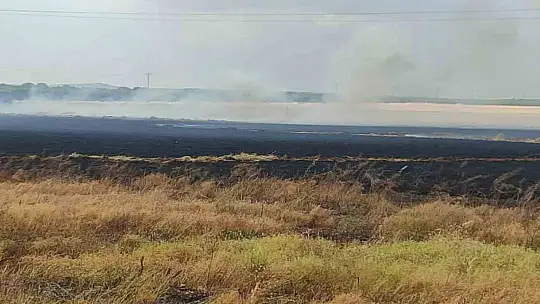 Biçerdöver hasat yaparken sıçrayan kıvılcımlar tarlayı küle çevirdi