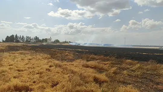 Biçerdöver hasat yaparken sıçrayan kıvılcımlar tarlayı küle çevirdi