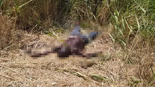 Bir haftadır kayıp olarak aranan gencin cesedi baraj kıyısında bulundu