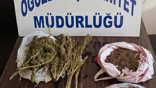 Brandaya gizlenen esrar maddesini narkotik köpeği buldu