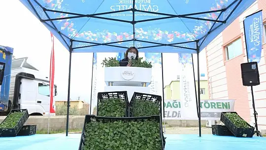 Büyükşehir'den Nurdağı çiftçisine dev destek