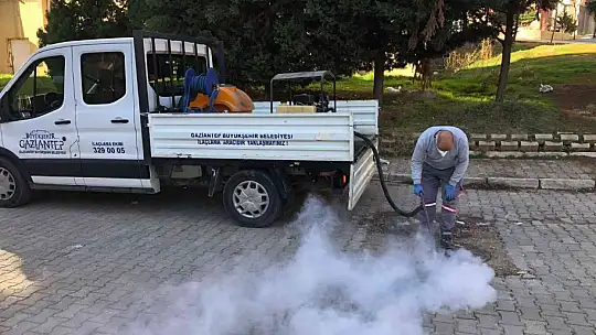 Büyükşehir, haşerelere karşı ilaçlama çalışmalarını sürdürüyor