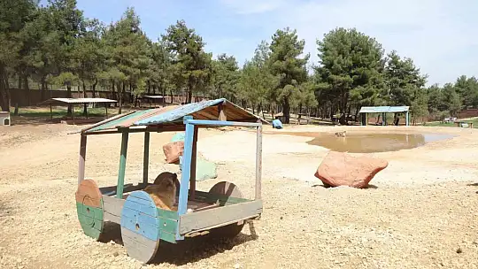 Büyükşehir'in sokak hayvanları için kurduğu model Türkiye'ye örnek oluyor
