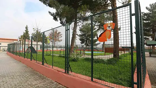 Büyükşehir'in sokak hayvanları için kurduğu model Türkiye'ye örnek oluyor