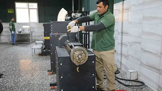 Büyükşehir'in sokak hayvanları için kurduğu model Türkiye'ye örnek oluyor