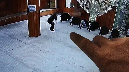 Camide namaz kılma taklidi yaparak cep telefonunu çaldı