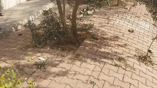 Çatıyı temizlerken beton zemine çakıldı
