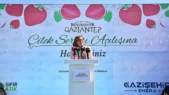Çöplerden elde edilen ısıdan yararlanılan çilek serası ilk hasadını verdi