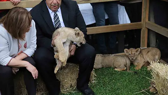 Cumhurbaşkanı Erdoğan'a 'dördüz' sürprizi
