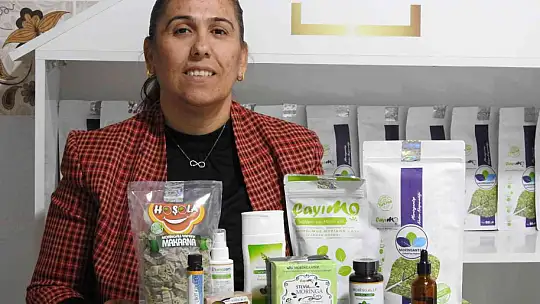 Cumhurbaşkanı'nın bahsettiği 'moringa' böyle üretiliyor