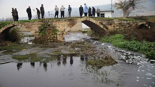 Deredeki balık ölümleri vatandaşları tedirgin ediyor