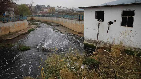 Deredeki balık ölümleri vatandaşları tedirgin ediyor