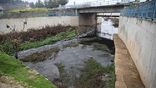 Deredeki balık ölümleri vatandaşları tedirgin ediyor
