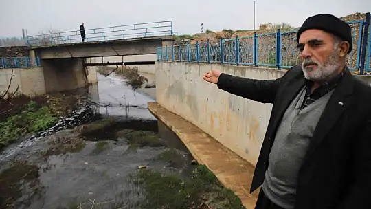 Deredeki balık ölümleri vatandaşları tedirgin ediyor