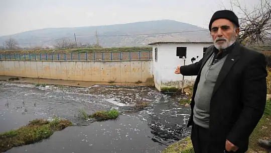 Deredeki balık ölümleri vatandaşları tedirgin ediyor