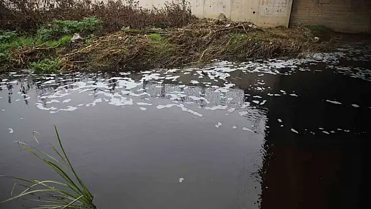 Deredeki balık ölümleri vatandaşları tedirgin ediyor