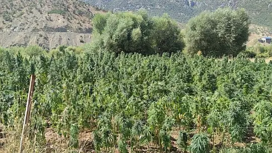 Diyarbakır'da 'Eren Abluka-33 Şehit Jandarma Uzman Çavuş Muhammet Tufan' operasyonu başlatıldı