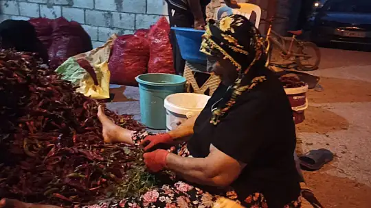 Ekmek paralarını acıdan çıkarıyorlar