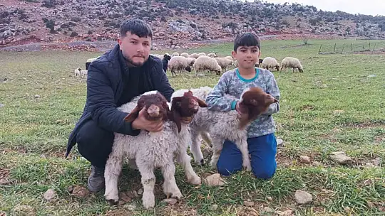 Enkaz altında kalan 9 kuzu 11 gün sonra kurtarıldı, sahibi o anları anlattı