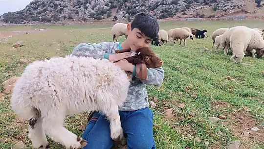 Enkaz altında kalan 9 kuzu 11 gün sonra kurtarıldı, sahibi o anları anlattı