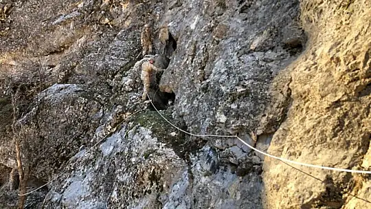 Eren Abluka'da 14 sığınak ile sözde eğitim kampı imha edildi
