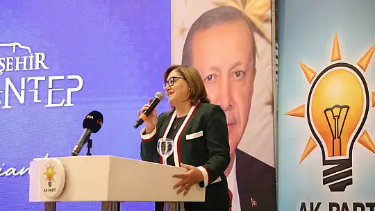 Eski Bakan Elvan'dan 'Gaziantep-Mersin hızlı treni' müjdesi