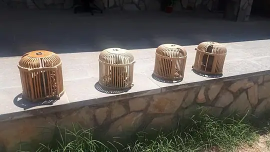 Evdeki 4 adet kınalı keklik ele geçirildi