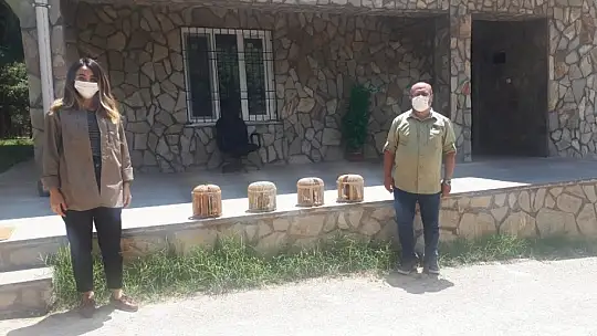 Evdeki 4 adet kınalı keklik ele geçirildi