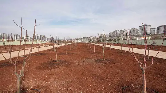 Fadıloğlu: 'Agro park'ta sona doğru yaklaşıyoruz'