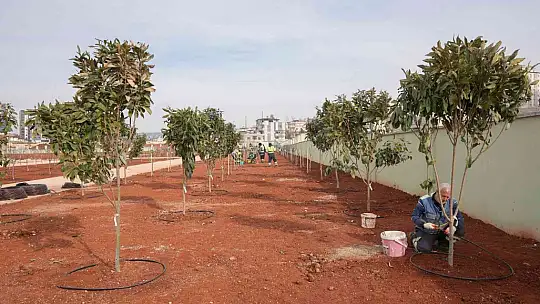 Fadıloğlu: 'Agro park'ta sona doğru yaklaşıyoruz'