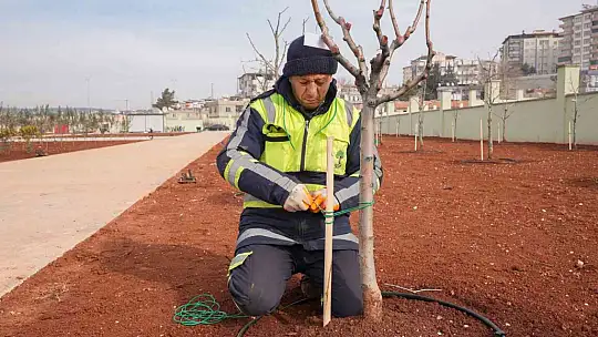 Fadıloğlu: 'Agro park'ta sona doğru yaklaşıyoruz'