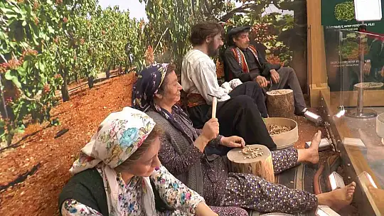 Fıstığın başkenti Gaziantep'te fıstığın tarihine yolculuk