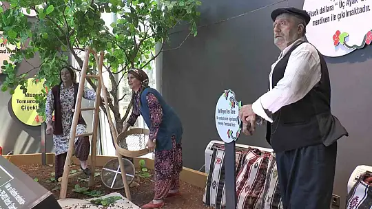 Fıstığın başkenti Gaziantep'te fıstığın tarihine yolculuk