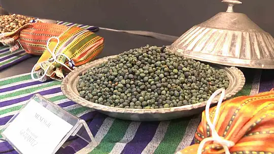 Fıstığın başkenti Gaziantep'te fıstığın tarihine yolculuk